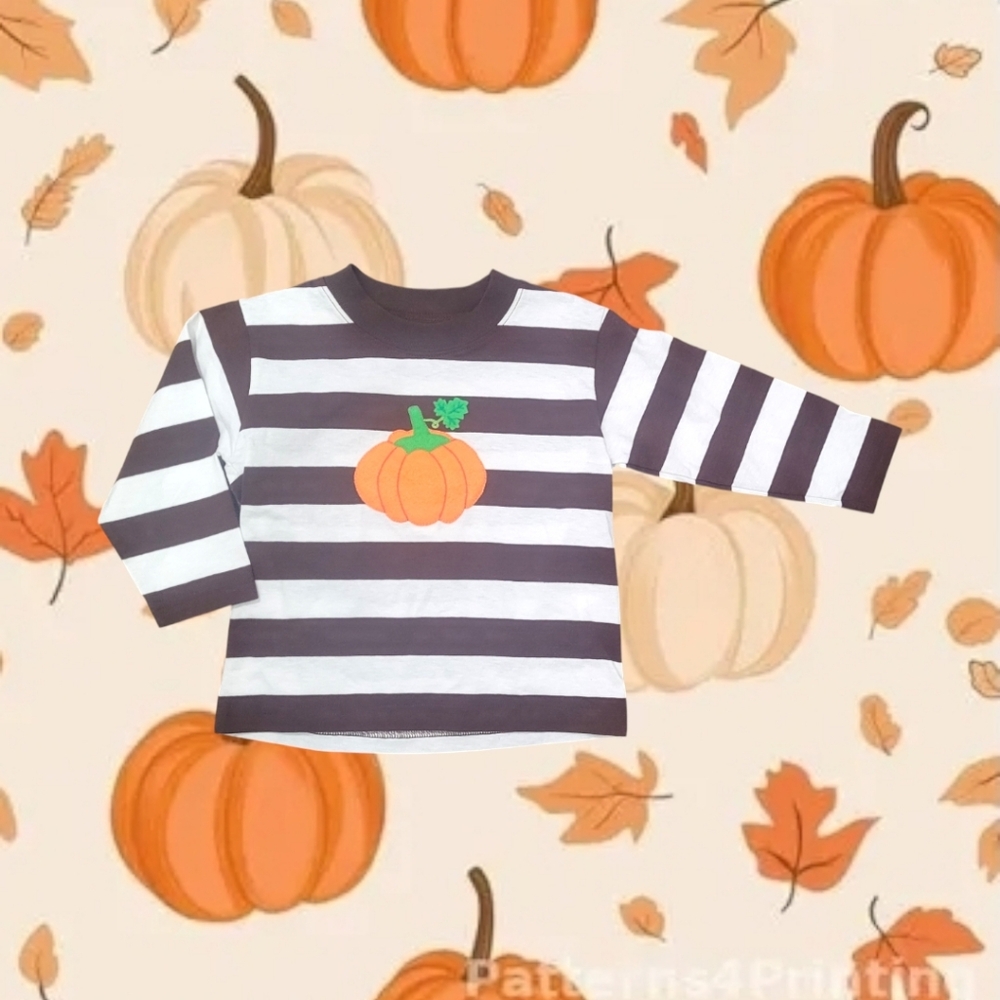 Luigi Kids Boy's Horizontal Striped Long Sleeve Shirt With Pumpkin Applique